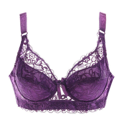 Plus Size Lace Bras Women Underwear-WF00990-Veeddydropshipping