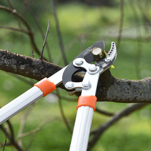 Pruning Ratchet Cut Tree  Garden Tools-TI00064-Veeddydropshipping