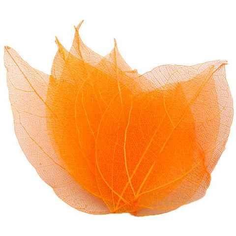 Crafts Artificial Skeleton Leaf Dry Leaves-HA00673-Veeddydropshipping