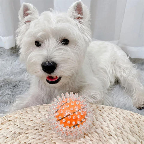 Pet Dog Bite-Resistant Toy Ball-HA01513-Veeddydropshipping