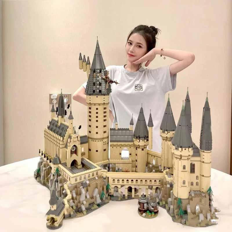Classic Magic Movie Building Block Castle Model Set 6020 Pcs Compatible-TB01489-Veeddydropshipping
