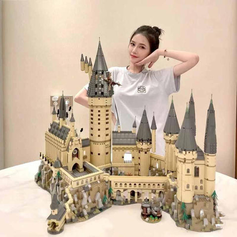 Classic Magic Movie Building Block Castle Model Set 6020 Pcs Compatible-TB01489-Veeddydropshipping