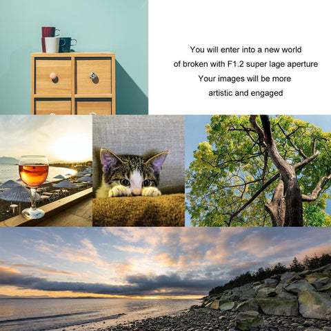 Meike 50mm F1.2 Large Aperture Full Frame Manual Focus Lens For Sony E Mount-CE00268-Veeddydropshipping