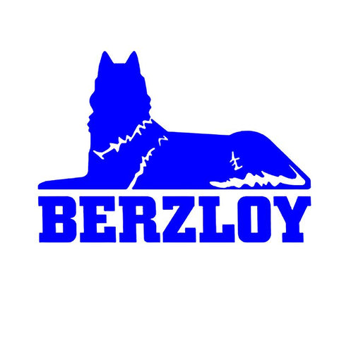Vinyl Decal BERZLOY Motorcycle Decorative Accessories-AM00943-Veeddydropshipping