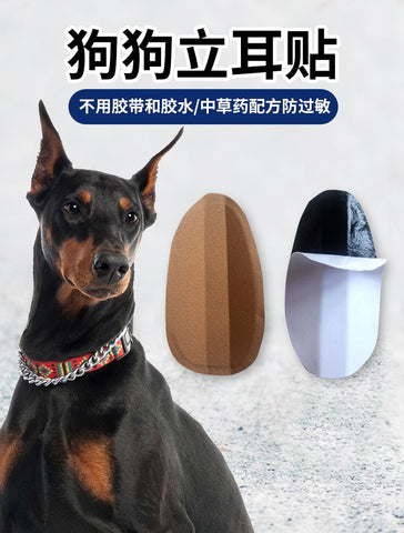 Pet dog ear stickers Pinscher ear assists-HA01510-Veeddydropshipping