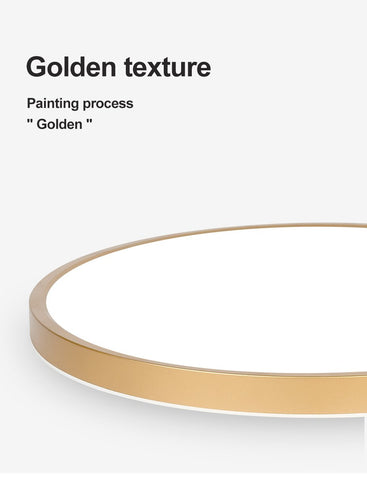 Modern LED Ceiling Light with 3 Colors-TI00301-Veeddydropshipping