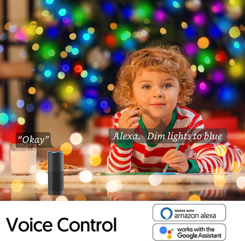Dreamcolor Outdoor String Lights With 20 Colorful Modes Music Sync Voice-TI00911-Veeddydropshipping