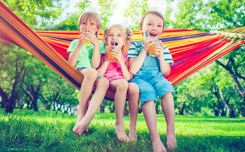 Outdoor Hammock Portable Garden Hammock-HA01621-Veeddydropshipping