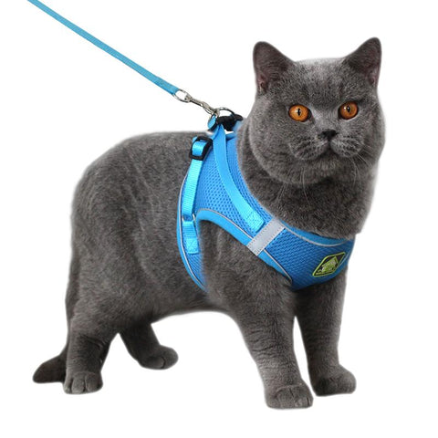 Breathable Cat Escape Proof Pet Clothes-HA01973-Veeddydropshipping