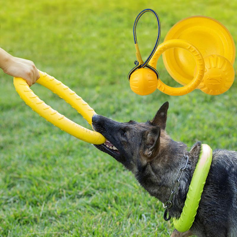 Pet Flying Discs Dog Training Ring Puller-HA01971-Veeddydropshipping
