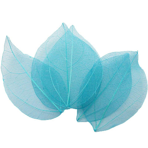 Crafts Artificial Skeleton Leaf Dry Leaves-HA00673-Veeddydropshipping