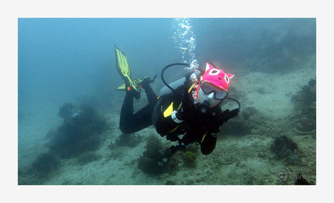 sunscreen anti-uv 4mm submersible cap cartoon personality submersible snorkeling-OS00051-Veeddydropshipping