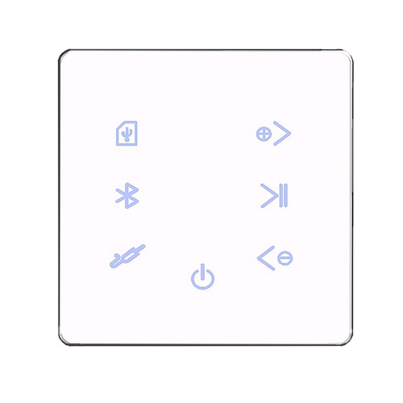 Music Amplifier Panel Smart Home Background Audio System-Veeddydropshipping