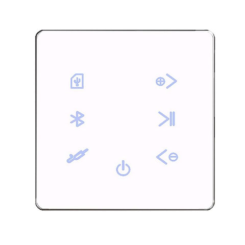 Music Amplifier Panel Smart Home Background Audio System-Veeddydropshipping
