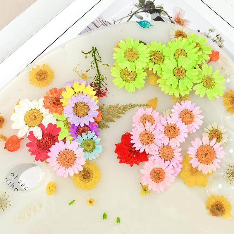 Dried Flowers Resin Filler Jewelry Making Plant Decoration-HA00664-Veeddydropshipping