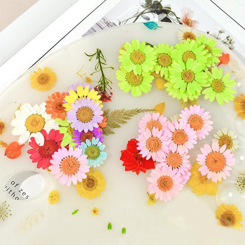 Dried Flowers Resin Filler Jewelry Making Plant Decoration-HA00664-Veeddydropshipping