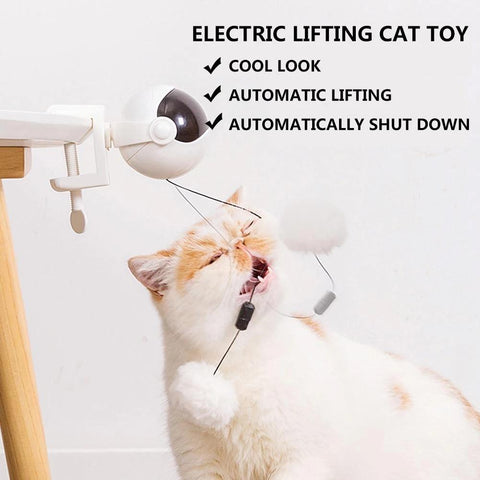 Electronic Motion Cat Toy Yo-Yo Lifting Ball-HA01370-Veeddydropshipping