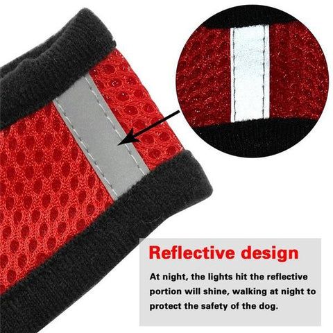 Cat Dog Harness with Lead Leash Adjustable Vest-HA01368-Veeddydropshipping