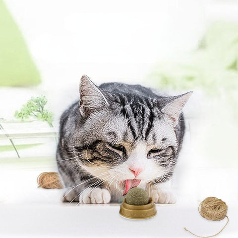Natural Catnip Cat Wall Stick-on Ball Toy-HA01403-Veeddydropshipping