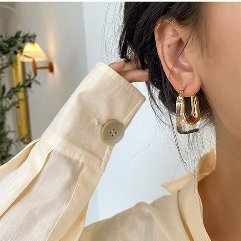 Trendy Transparent Earrings  Geometric Metal Acrylic Earrings Jewelry-JW01442-Veeddydropshipping