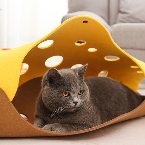 Cat Toy Felt Nest Kitten Tunnel Collapsible-HA01410-Veeddydropshipping