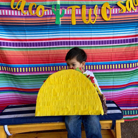 Colored Stripes Fiesta Backdrop Cinco De Mayo Mexican Festival Photography-CE00469-Veeddydropshipping