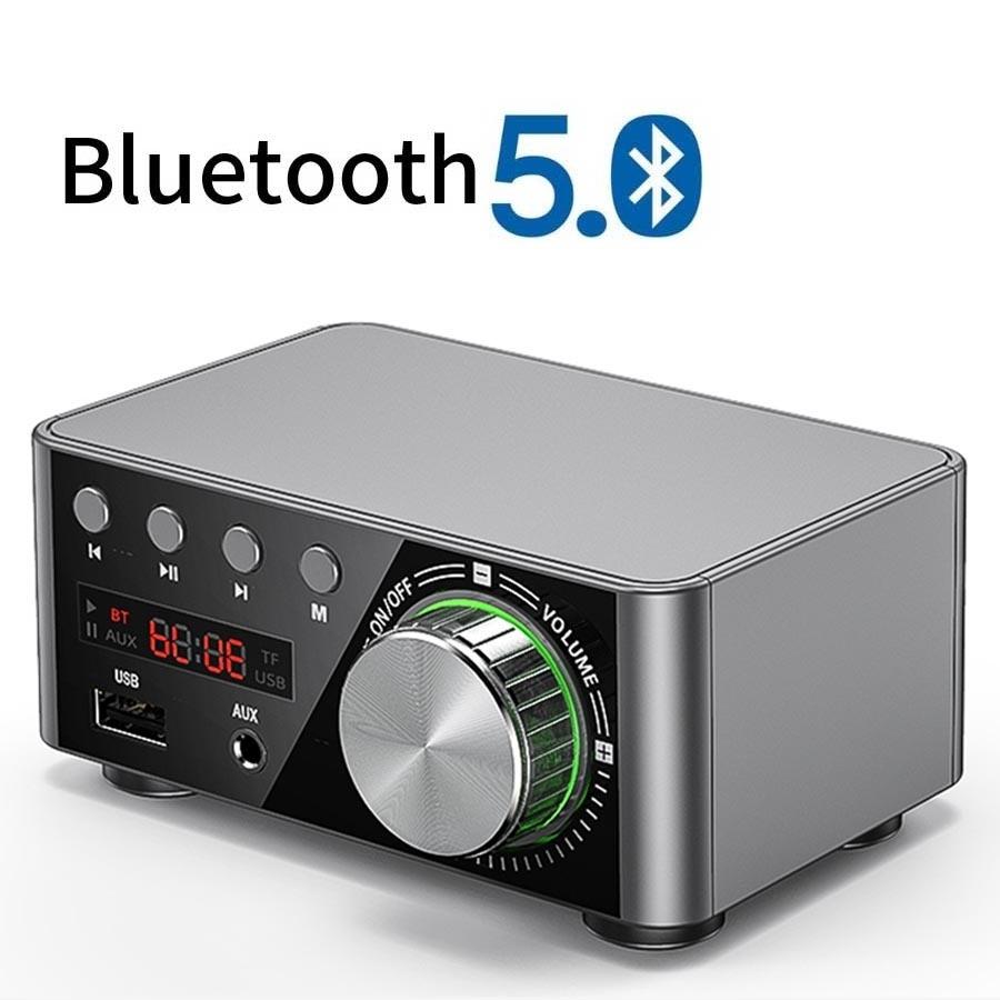 Mini Audio Bluetooth 5.0  Home Audio Amplifier-Veeddydropshipping