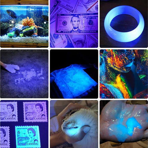 UV Light &amp; Strong Light Flashlight USB Rechargeable Camping Lantern-TI00755-Veeddydropshipping