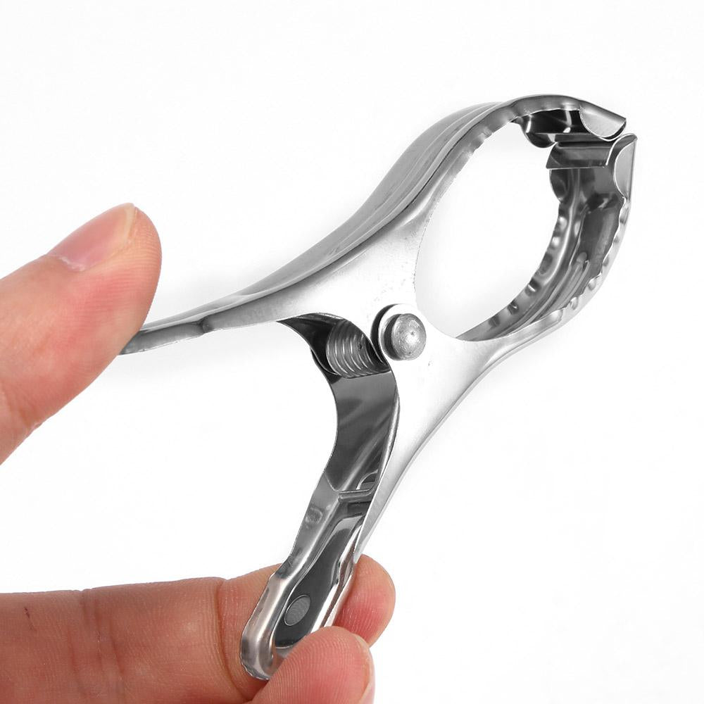 Clothes Pegs Hanging Pins Clips Stainless Steel-HA01064-Veeddydropshipping