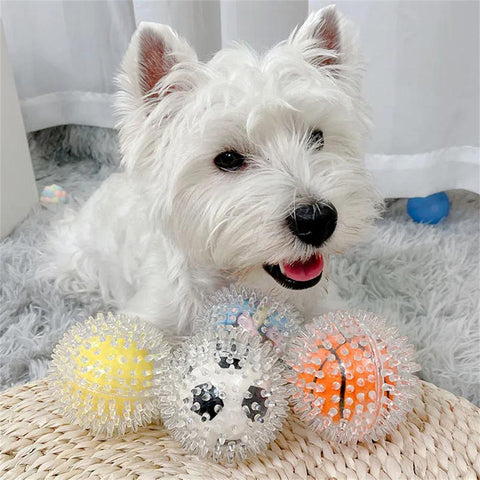 Pet Dog Bite-Resistant Toy Ball-HA01513-Veeddydropshipping