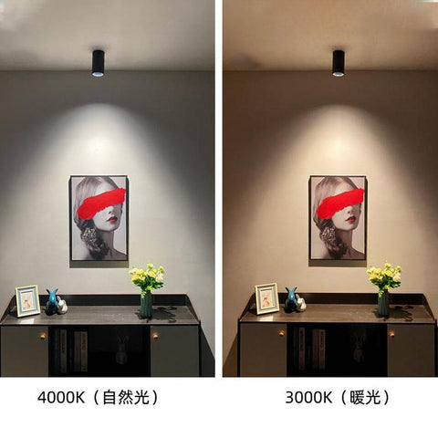 Round Dimmable Mounted LED Down lights-TI00377-Veeddydropshipping
