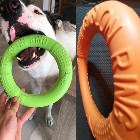 Big Dogs Interactive Training Ring Puller-HA01491-Veeddydropshipping
