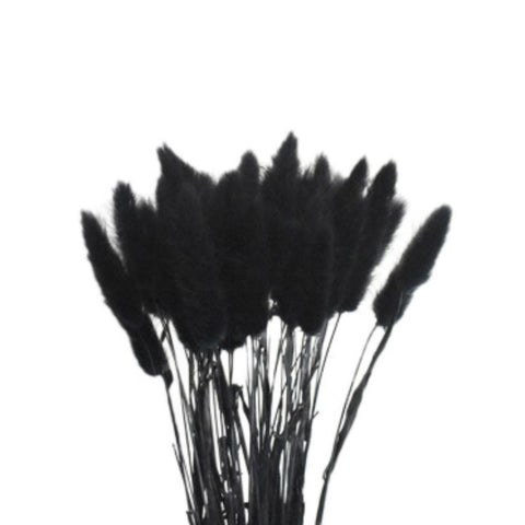 Pastoral Rabbit Tail Grass Bunny Tails Dried Flowers-HA00653-Veeddydropshipping