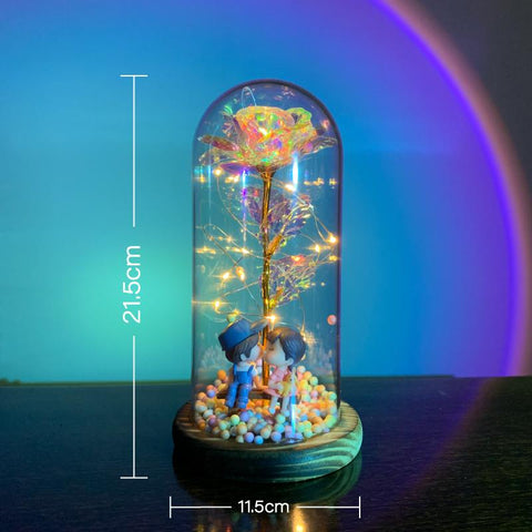 Flower Beauty and the Beast Led Eternal Rose in Glass-HA00666-Veeddydropshipping