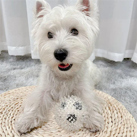 Pet Dog Bite-Resistant Toy Ball-HA01513-Veeddydropshipping