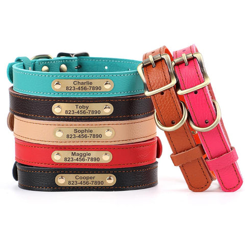 Leather Cat Dog Collar Bling Personalized Name ID-HA01379-Veeddydropshipping