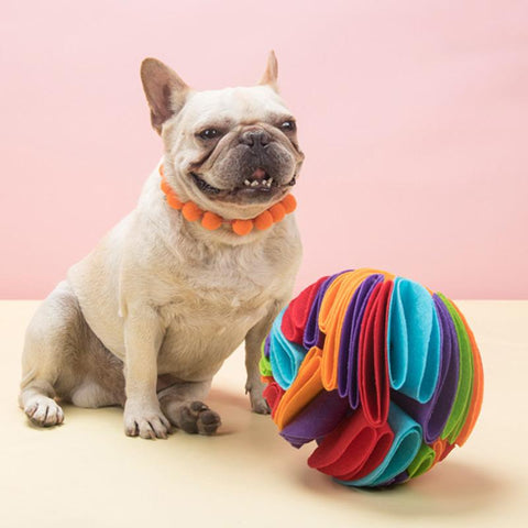 Dog Sniffing Ball Puzzle Toys Increase IQ-HA01520-Veeddydropshipping