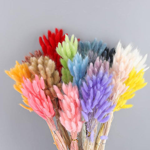Fluffy Pampas Dried Flowers Bouquet Home Decor-HA00642-Veeddydropshipping