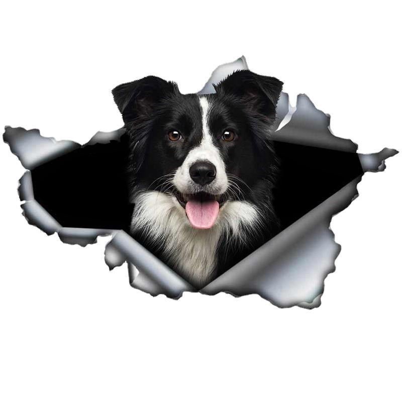 Design Trunk Bumper Decoration Custom Decal-AM00948-Veeddydropshipping
