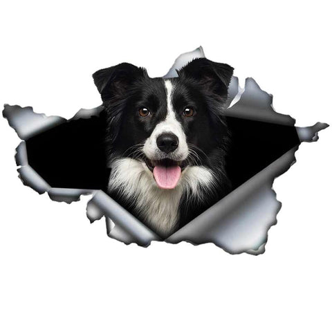 Design Trunk Bumper Decoration Custom Decal-AM00948-Veeddydropshipping