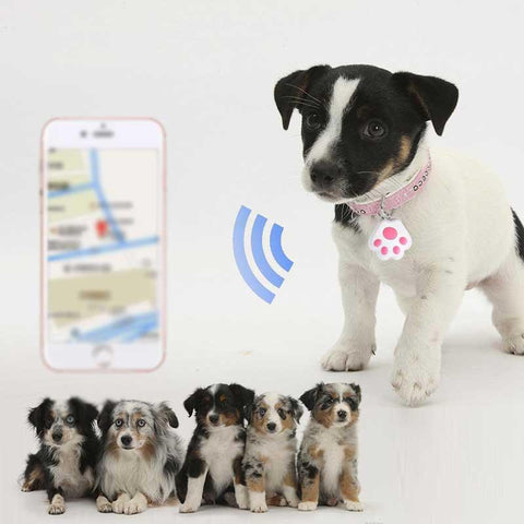 Pets Anti-Lost GPS Tracking Tag Locator Device Waterproof Portable-AM00614-Veeddydropshipping