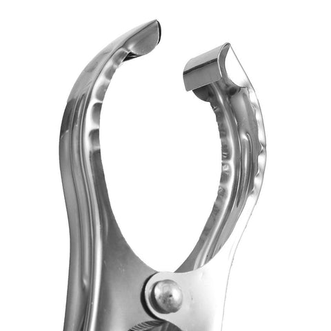Clothes Pegs Hanging Pins Clips Stainless Steel-HA01064-Veeddydropshipping