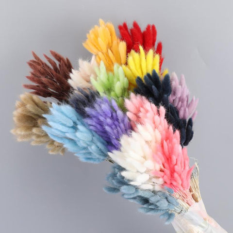 Fluffy Pampas Dried Flowers Bouquet Home Decor-HA00642-Veeddydropshipping
