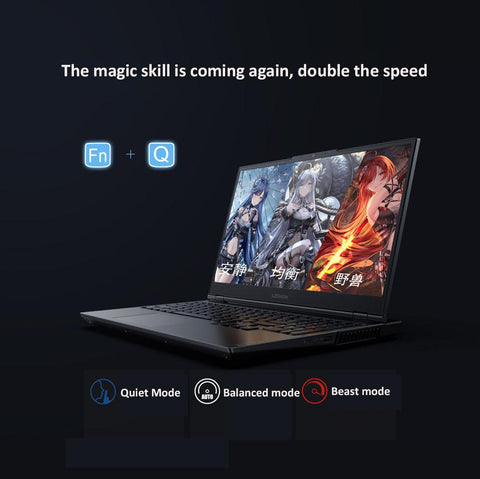 Legion Gaming AMD Refresh  IPS notebook-CO00310-Veeddydropshipping