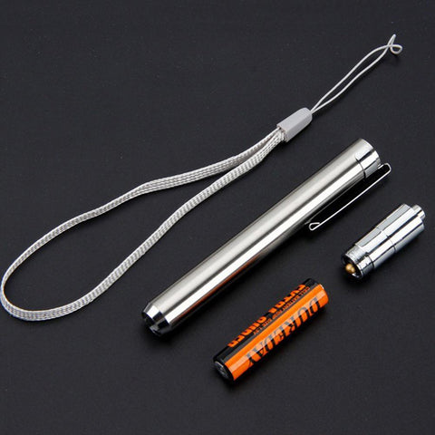Mini LED Stainless Steel Mini Lamp 395/365 UV Flashlight Torch Ultra Violet Light-TI00788-Veeddydropshipping