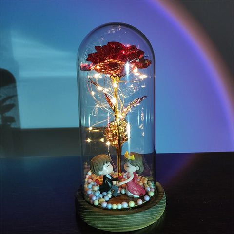 Flower Beauty and the Beast Led Eternal Rose in Glass-HA00666-Veeddydropshipping
