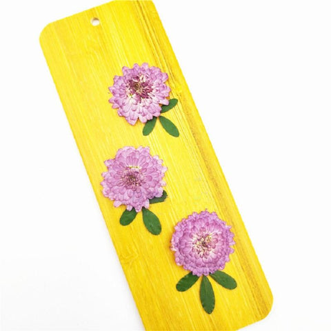 Natural Pressed Flowers Real Dried Chrysanthemum-HA00709-Veeddydropshipping