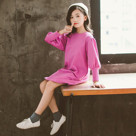 Spring Autumn Kids Girls Dress Cotton Clothes-TB00917-Veeddydropshipping