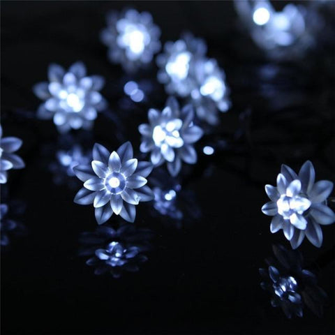 Solar String Christmas Lights Outdoor 100LED Waterproof Flower Garden-TI00811-Veeddydropshipping