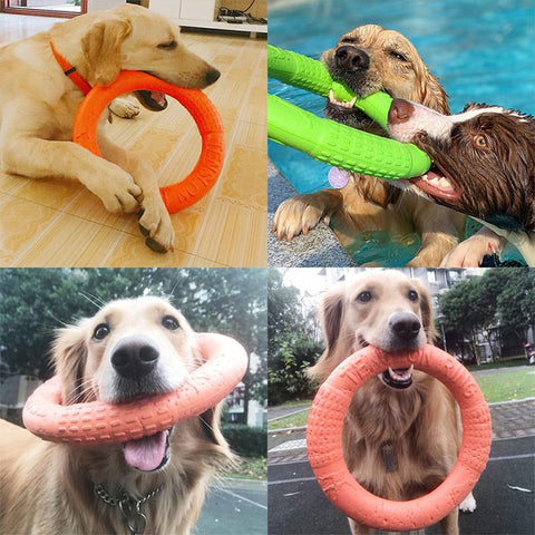 Big Dogs Interactive Training Ring Puller-HA01491-Veeddydropshipping